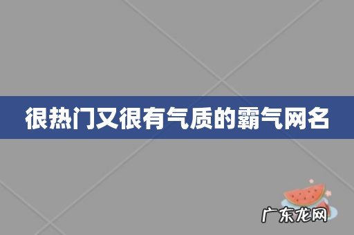 很热门又很有气质的霸气网名