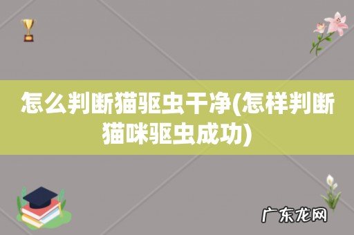 怎样判断猫咪驱虫成功 怎么判断猫驱虫干净