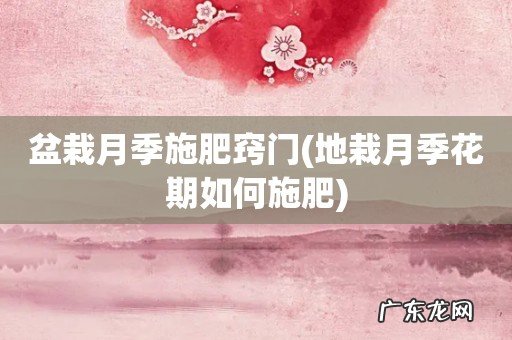 地栽月季花期如何施肥 盆栽月季施肥窍门