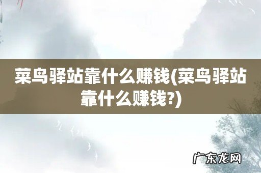 菜鸟驿站靠什么赚钱? 菜鸟驿站靠什么赚钱