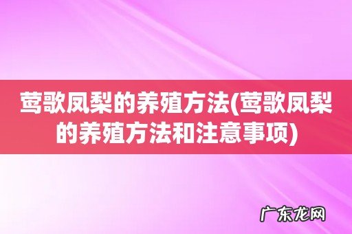 莺歌凤梨的养殖方法和注意事项 莺歌凤梨的养殖方法