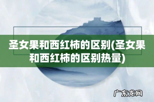 圣女果和西红柿的区别热量 圣女果和西红柿的区别