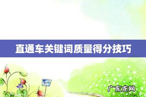直通车关键词质量得分技巧