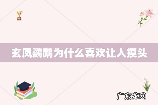 玄凤鹦鹉为什么喜欢让人摸头