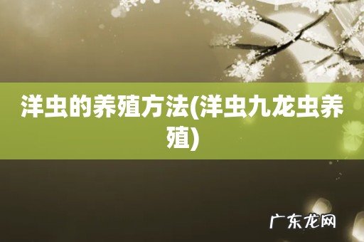 洋虫九龙虫养殖 洋虫的养殖方法