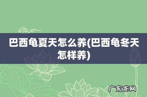 巴西龟冬天怎样养 巴西龟夏天怎么养