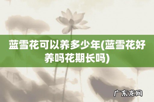 蓝雪花好养吗花期长吗 蓝雪花可以养多少年