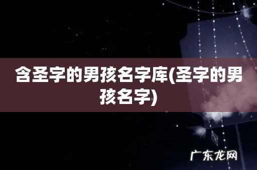 圣字的男孩名字 含圣字的男孩名字库