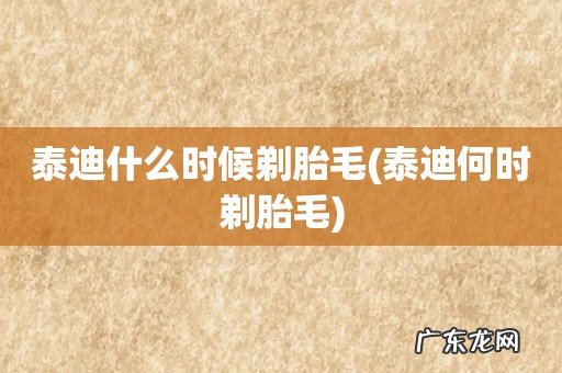 泰迪何时剃胎毛 泰迪什么时候剃胎毛