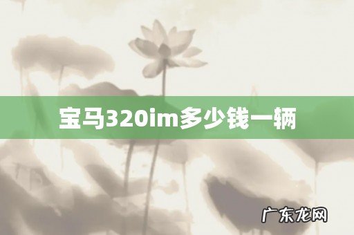 宝马320im多少钱一辆