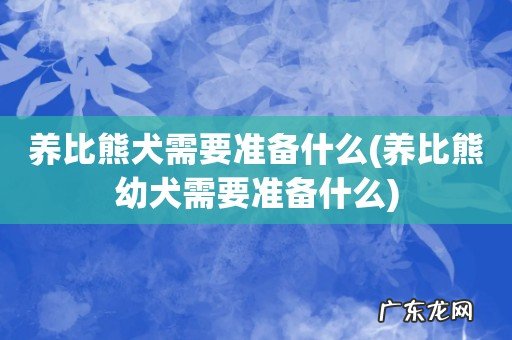 养比熊幼犬需要准备什么 养比熊犬需要准备什么