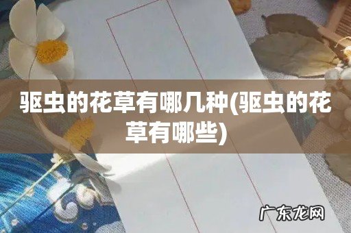 驱虫的花草有哪些 驱虫的花草有哪几种