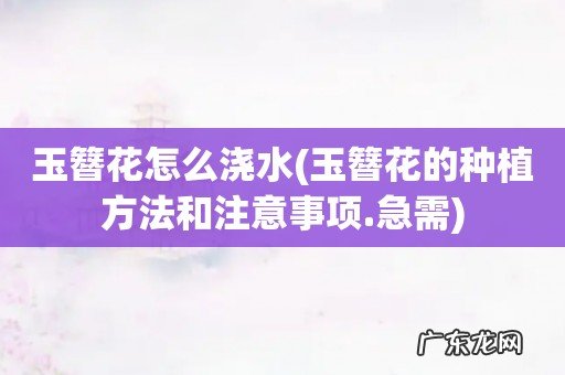 玉簪花的种植方法和注意事项.急需 玉簪花怎么浇水