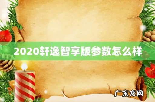 2020轩逸智享版参数怎么样