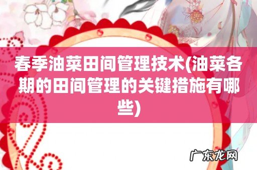 油菜各期的田间管理的关键措施有哪些 春季油菜田间管理技术