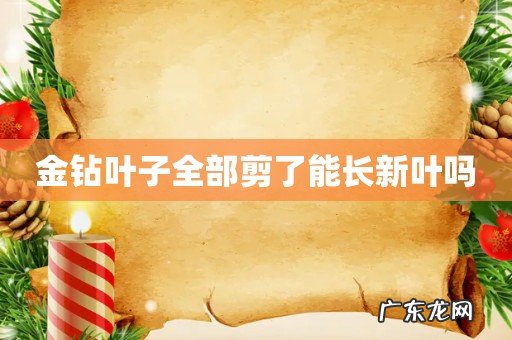 金钻叶子全部剪了能长新叶吗