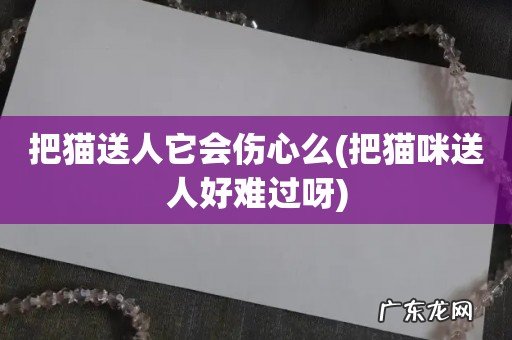 把猫咪送人好难过呀 把猫送人它会伤心么