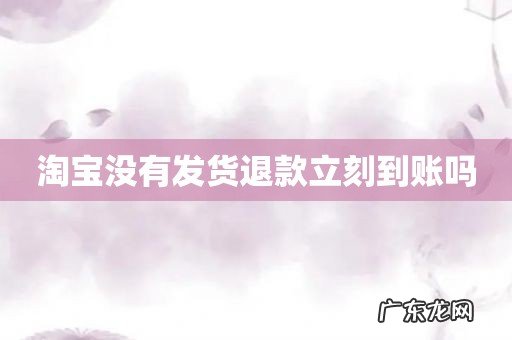 淘宝没有发货退款立刻到账吗