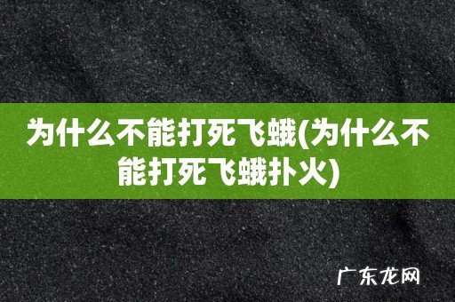 为什么不能打死飞蛾扑火 为什么不能打死飞蛾