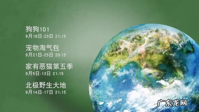 手机版宠物连连看 宠物连连看v4 1