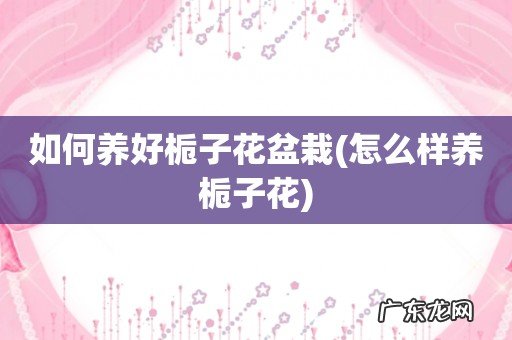 怎么样养栀子花 如何养好栀子花盆栽