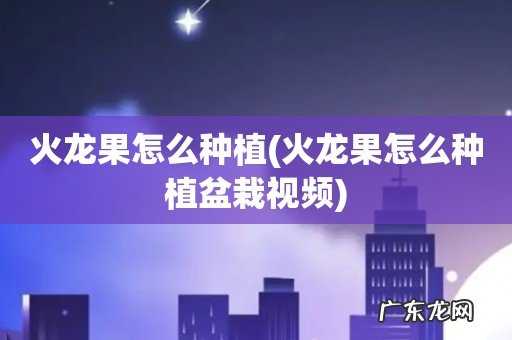 火龙果怎么种植盆栽视频 火龙果怎么种植