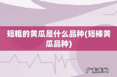 短棒黄瓜品种 短粗的黄瓜是什么品种