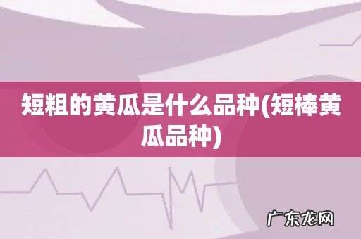 短棒黄瓜品种 短粗的黄瓜是什么品种