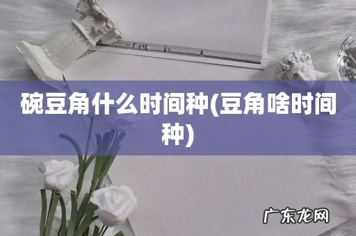 豆角啥时间种 碗豆角什么时间种