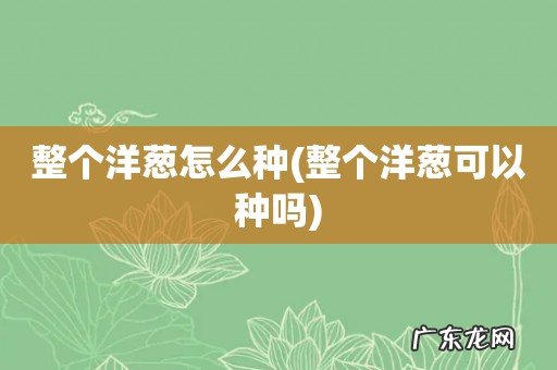 整个洋葱可以种吗 整个洋葱怎么种