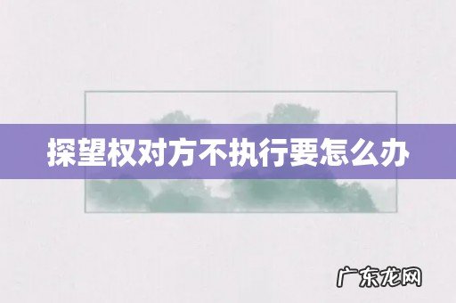 探望权对方不执行要怎么办