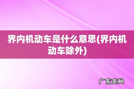 界内机动车除外 界内机动车是什么意思