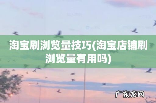 淘宝店铺刷浏览量有用吗 淘宝刷浏览量技巧