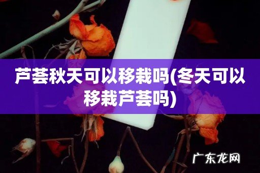 冬天可以移栽芦荟吗 芦荟秋天可以移栽吗