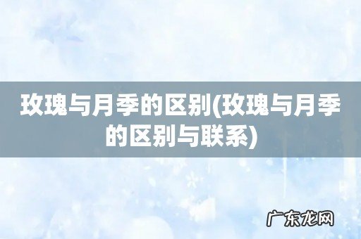 玫瑰与月季的区别与联系 玫瑰与月季的区别