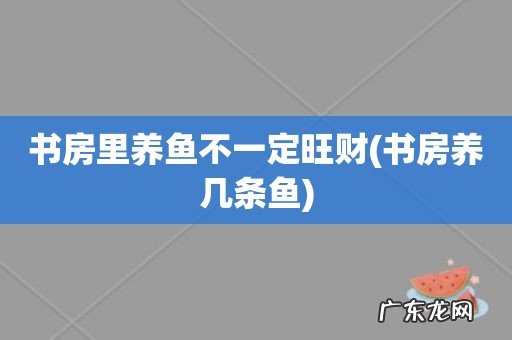 书房养几条鱼 书房里养鱼不一定旺财