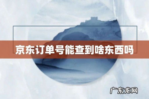 京东订单号能查到啥东西吗