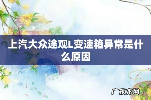 上汽大众途观L变速箱异常是什么原因
