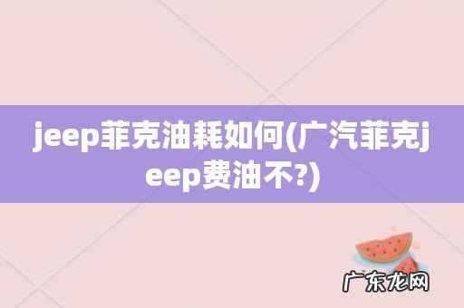 广汽菲克jeep费油不? jeep菲克油耗如何