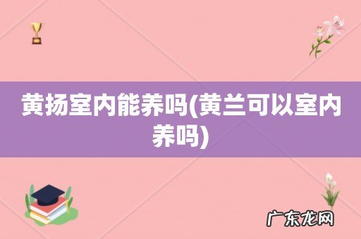 黄兰可以室内养吗 黄扬室内能养吗