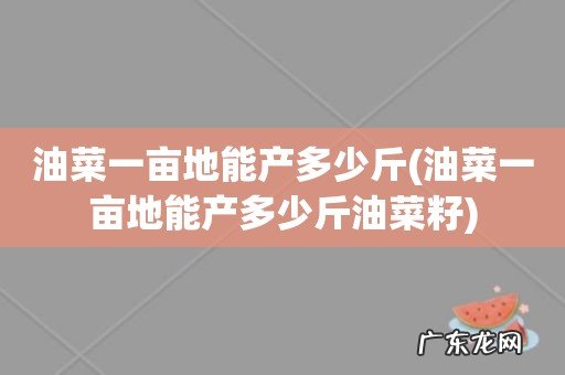 油菜一亩地能产多少斤油菜籽 油菜一亩地能产多少斤