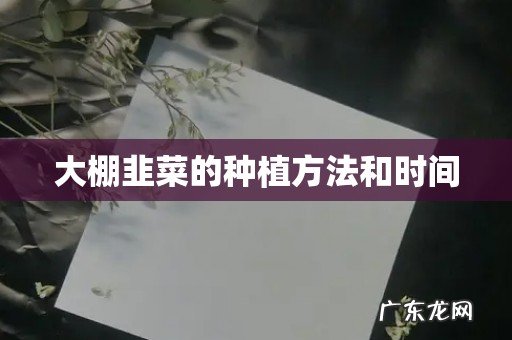 大棚韭菜的种植方法和时间