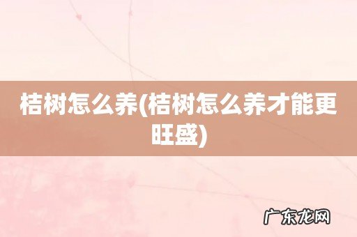 桔树怎么养才能更旺盛 桔树怎么养
