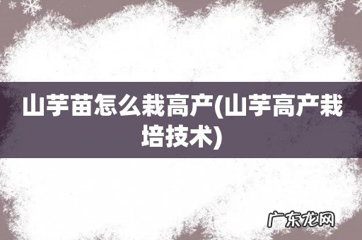 山芋高产栽培技术 山芋苗怎么栽高产