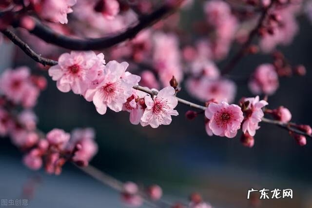 送表妹结婚礼物应该送什么 送给妹妹的结婚礼物有哪些