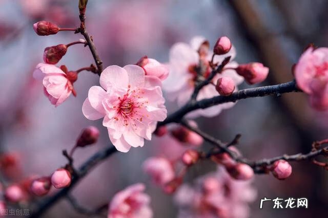 送表妹结婚礼物应该送什么 送给妹妹的结婚礼物有哪些