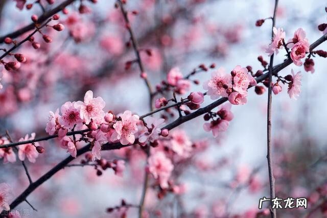 送表妹结婚礼物应该送什么 送给妹妹的结婚礼物有哪些