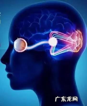 挑选太阳镜应该从哪方面挑选 太阳镜 选择