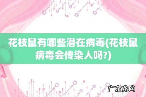 花枝鼠病毒会传染人吗? 花枝鼠有哪些潜在病毒