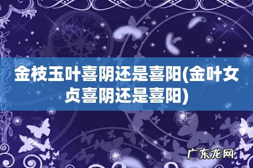 金叶女贞喜阴还是喜阳 金枝玉叶喜阴还是喜阳